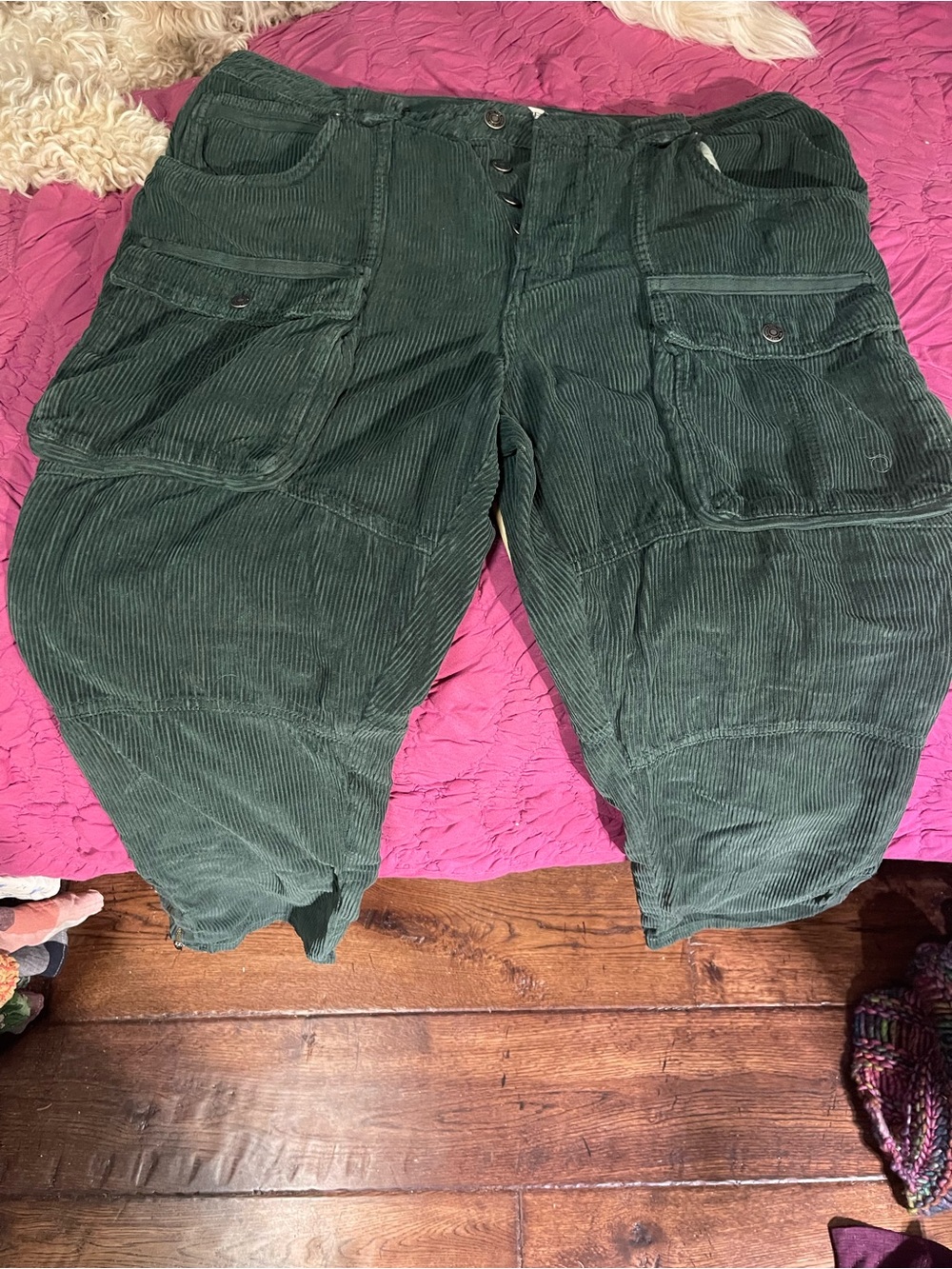 We The Free Olive Green Corduroy Cargo Pants